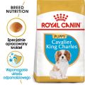 ROYAL CANIN Cavalier King Charles Spaniel Puppy karma sucha dla szczeniąt do 10 miesiąca, rasy cavalier king charles spaniel 1,5 kg
