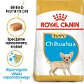 ROYAL CANIN Chihuahua Puppy junior 500 g karma sucha dla szczeniąt do 10 miesiąca rasy chihuahua