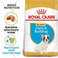 ROYAL CANIN French Bulldog Puppy Junior karma sucha dla szczeniąt do 12 miesiąca, rasy bulldog francuski 10 kg