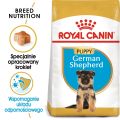 ROYAL CANIN German Shepherd Puppy karma sucha dla szczeniąt do 15 miesiąca, rasy owczarek niemiecki 12 kg