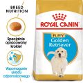 ROYAL CANIN Golden Retriever Puppy Junior 12 kg karma sucha dla szczeniąt do 15 miesiąca, rasy golden retriever