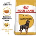 ROYAL CANIN Rottweiler Adult 12kg karma sucha dla psów dorosłych rasy rottweiler