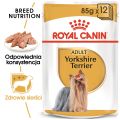 ROYAL CANIN Breed Mini Yorkshire 12 x 85 g karma mokra dla Yorka