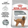 ROYAL CANIN CCN Maxi Dental Care karma sucha dla psów dorosłych, ras dużych, redukująca powstawanie kamienia nazębnego 9 kg