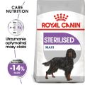 ROYAL CANIN CCN Maxi Sterilised 12 kg karma sucha dla psów dorosłych, ras dużych, sterylizowanych