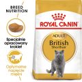 ROYAL CANIN British Shorthair karma sucha dla kotów dorosłych rasy brytyjski krótkowłosy 400 g