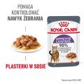 ROYAL CANIN Appetite Control Gravy 12x85 g mokra karma dla dorosłych kotów z nadmiernym apetytem