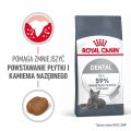 ROYAL CANIN Dental Care 8 kg karma sucha dla kotów dorosłych, redukująca odkładanie kamienia nazębnego