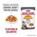 ROYAL CANIN Hair&Skin w galaretce karma mokra dla kotów dorosłych, zdrowa skóra, piękna sierść 12 x 85 g