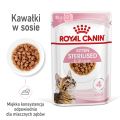 ROYAL CANIN Kitten Sterilised karma mokra w sosie dla kociąt do 12 miesiąca życia, sterylizowanych 12 x 85 g