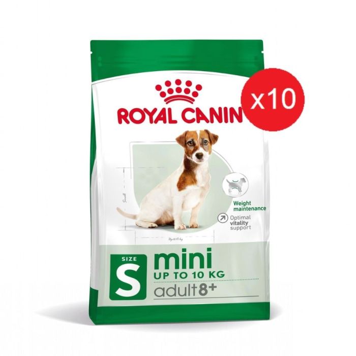 ROYAL CANIN Mini Adult 8+ dla psów starszych od 8 do 12 roku życia, ras małych 8 kg (10 x 0,8 kg)