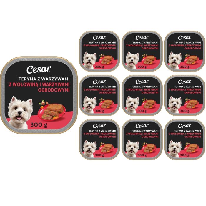 CESAR Teryna z Warzywami 10x300 g Wołowina i warzywa ogrodowe mokra karma dla psa