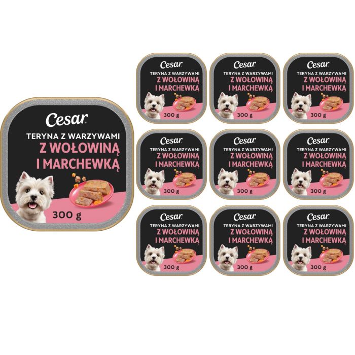 CESAR Teryna z Warzywami 10x300 g z mokra karma dla psa z cielęciną i marchewką