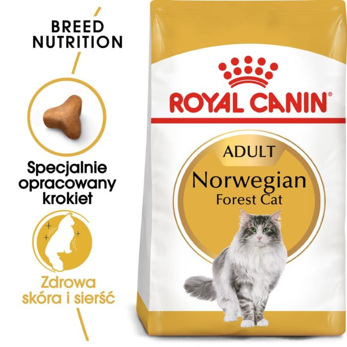 ROYAL CANIN Norvegian 2x2 kg karma sucha dla kotów dorosłych rasy norweski leśny