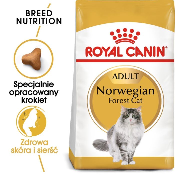 ROYAL CANIN Norvegian 4x2 kg karma sucha dla kotów dorosłych rasy norweski leśny