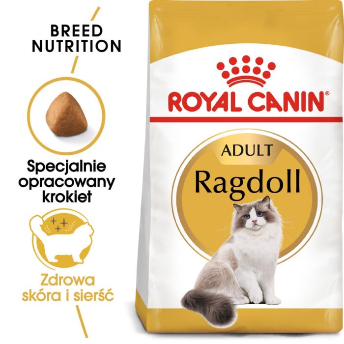 ROYAL CANIN Ragdoll adult 24x400 g karma sucha dla kotów dorosłych rasy ragdoll