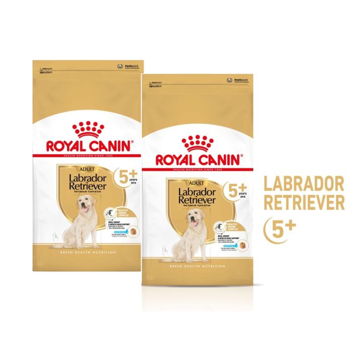 ROYAL CANIN Labrador Retriever Adult 5+ 2x12 kg karma sucha dla dojrzałych psów rasy Labrador retriever, powyżej 5 roku życia