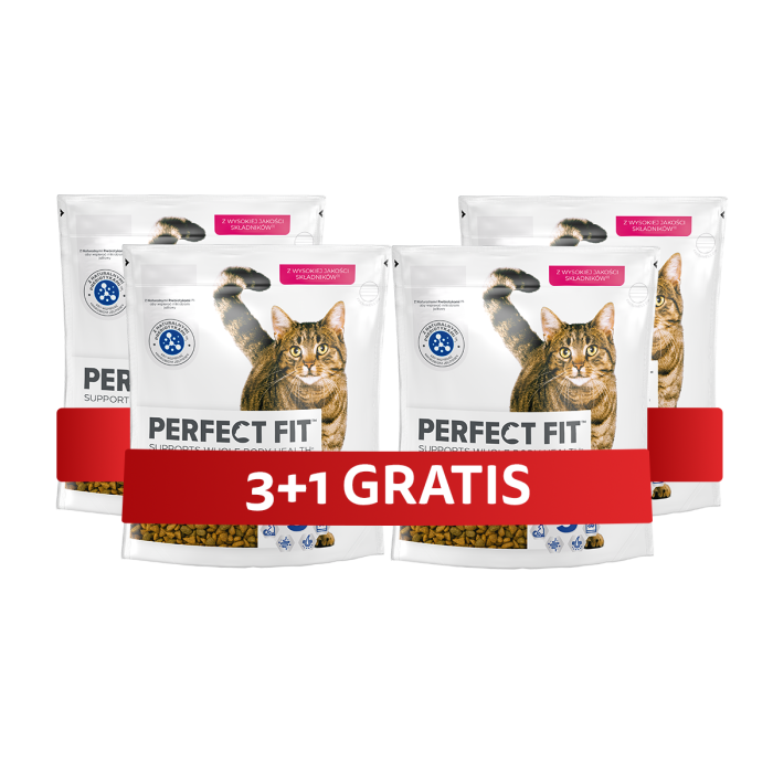 PERFECT FIT Adult 1+ 4 x 750 g sucha karma pełnoporcjowa dla dorosłych kotów bogata w świeżego łososia 3+1 GRATIS