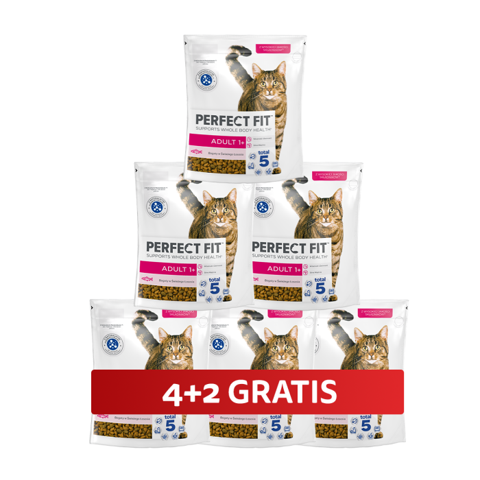 PERFECT FIT Adult 1+ 6 x 750 g sucha karma pełnoporcjowa dla dorosłych kotów bogata w świeżego łososia 4+2 GRATIS