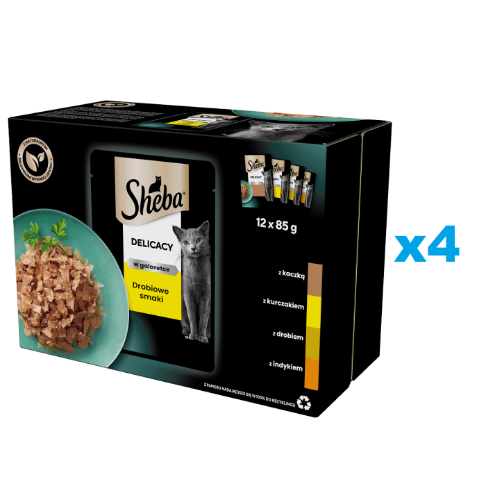 SHEBA Delicacy Drobiowe Smaki saszetki 48x85 g mokra karma pełnoporcjowa dla dorosłych kotów w galaretce kawałki z: kaczką, kurczakiem, drobiem, indykiem