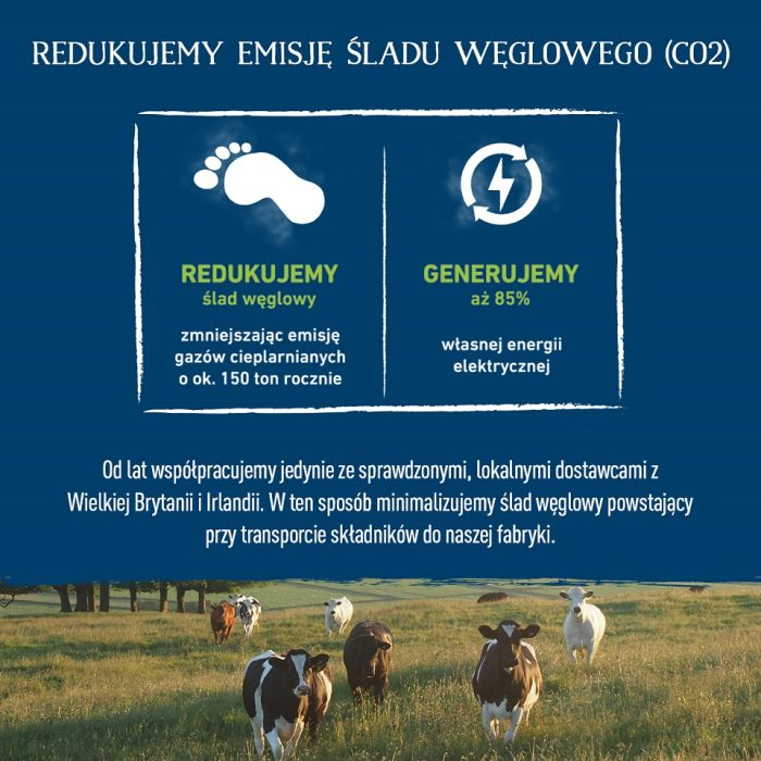 BUTCHER'S Original Tripe Mix, karma dla psa, ze żwaczem, pasztet 6 x 1200g