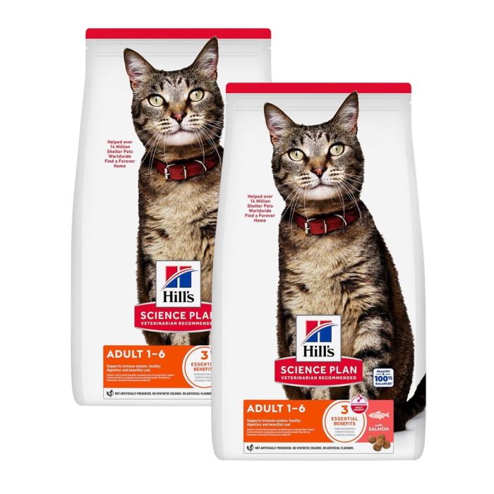 HILL'S Science Plan Feline Adult Salmon 2x10 kg sucha karma z łososiem dla dorosłych kotów
