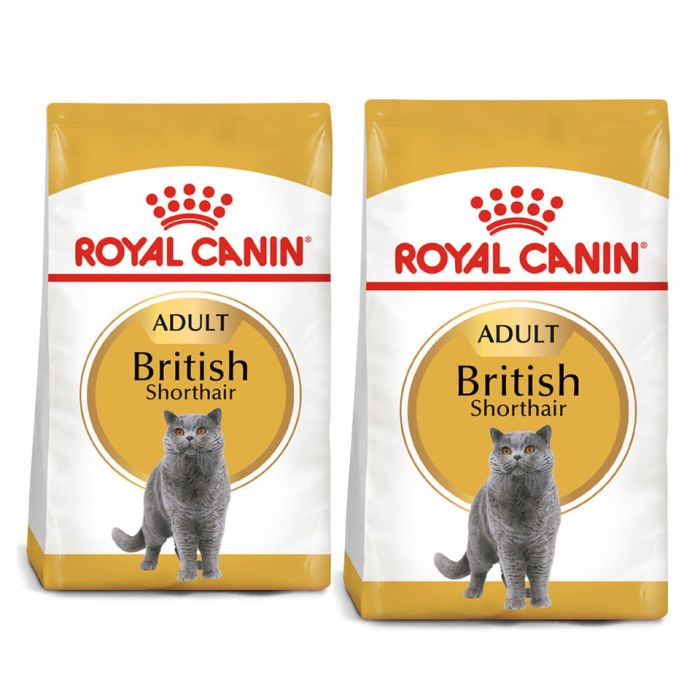 ROYAL CANIN British Shorthair karma sucha dla kotów dorosłych rasy brytyjski krótkowłosy 20 kg (2 x 10 kg)