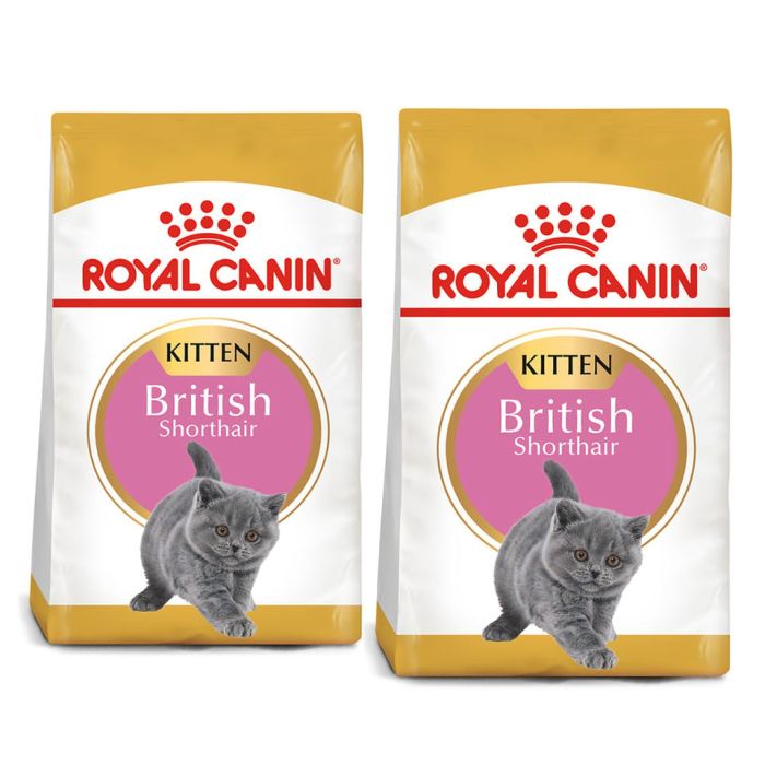 ROYAL CANIN Kitten british shorthair 20 kg (2 x 10 kg) karma sucha dla kociąt, do 12 miesiąca, rasy brytyjski krótkowłosy