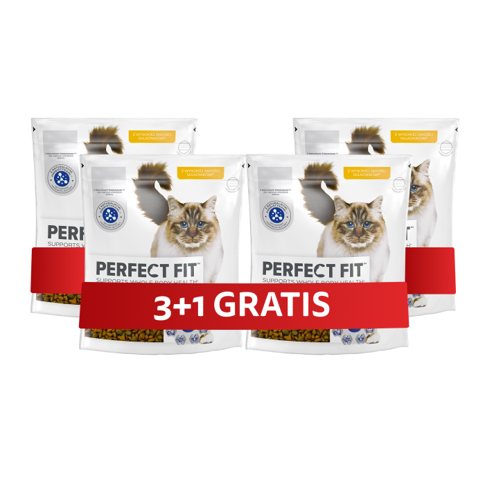 PERFECT FIT Sensitive 1+ 4 x 750 g sucha karma pełnoporcjowa dla dorosłych kotów bogata w indyka 3+1 GRATIS