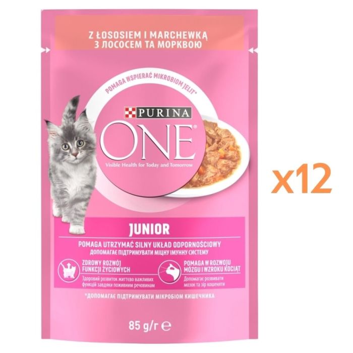 PURINA ONE Junior Cat Łosoś i marchewka 12x85g mokra karma dla kociąt