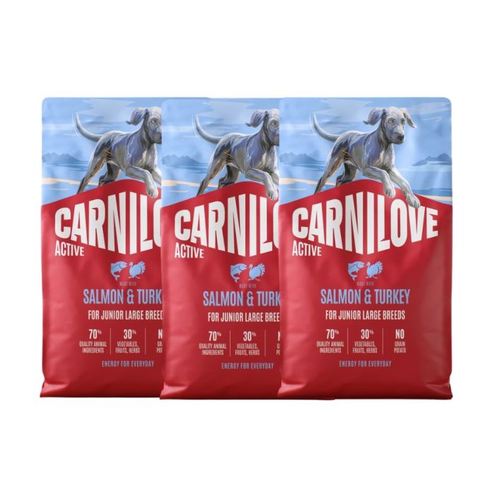 CARNILOVE Active Dog Salmon & Turkey 3x4 kg Junior Large Breeds łosoś i indyk, dla dorastających juniorów ras dużych
