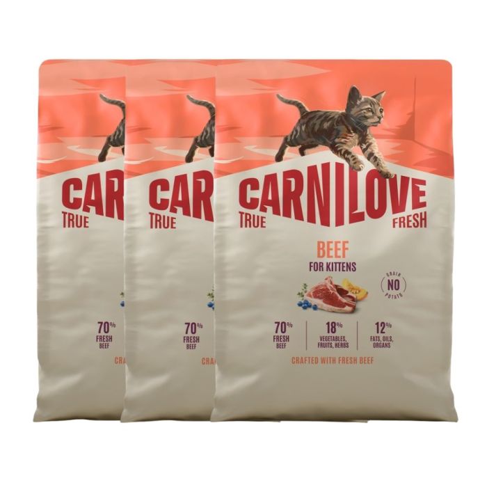 CARNILOVE True Fresh Cat Beef Kittens 3x2 kg wołowina, dla kociąt wszystkich ras