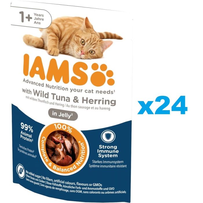 IAMS Cat Adult All Breeds Tuna & Herring In Jelly tuńczyk i śledź w galaretce 24x85g