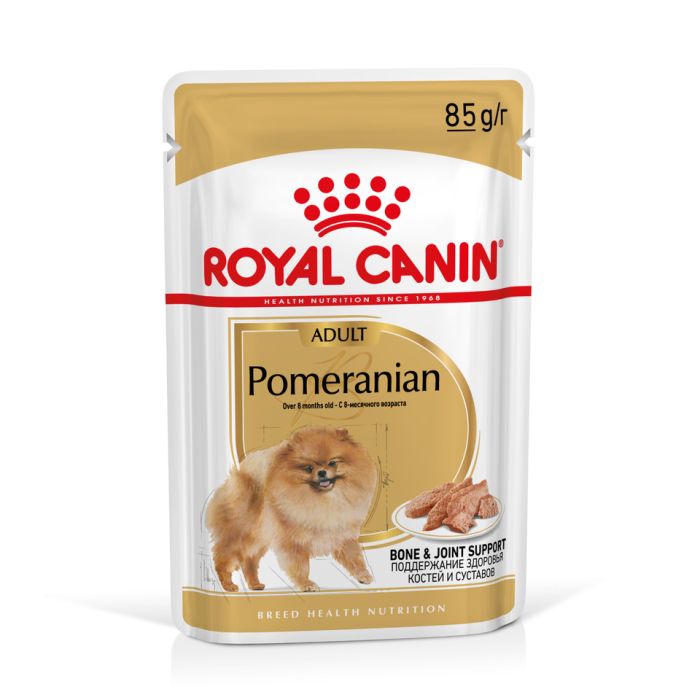 ROYAL CANIN Pomeranian Adult karma mokra, pasztet dla psów dorosłych rasy szpic miniaturowy