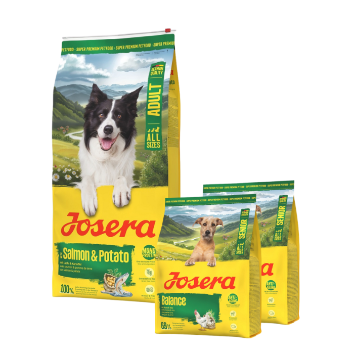 JOSERA Salmon and Potato Adult 12,5kg bezzbożowa karma dla psów z wrażliwym żołądkiem + 2x900g karmy GRATIS