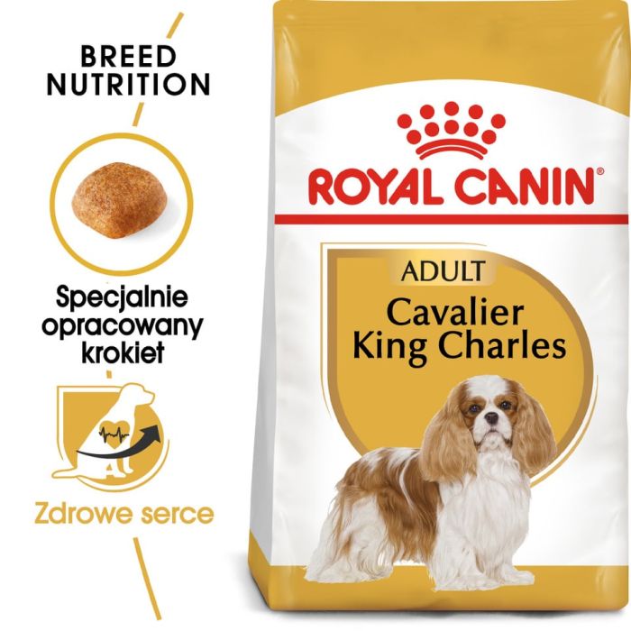 ROYAL CANIN Cavalier King Charles Spaniel Adult 4x1.5 kg karma sucha dla psów dorosłych rasy cavalier king charles spaniel