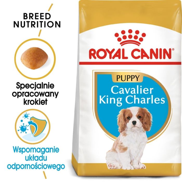 ROYAL CANIN Cavalier King Charles Spaniel Puppy karma sucha dla szczeniąt do 10 miesiąca, rasy cavalier king charles spaniel 4x1,5 kg