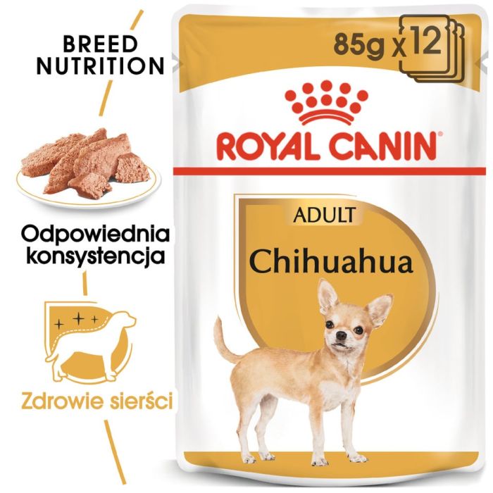 ROYAL CANIN Chihuahua Adult karma mokra specjalnie dla dorosłych psów rasy chihuahua