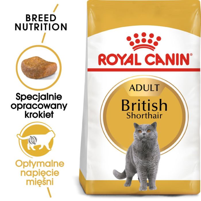 ROYAL CANIN British Shorthair karma sucha dla kotów dorosłych rasy brytyjski krótkowłosy 6x400 g