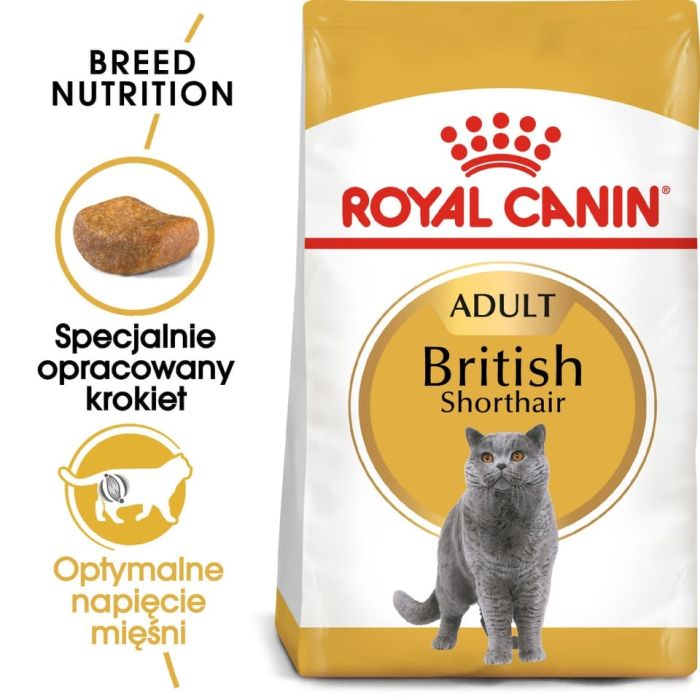 ROYAL CANIN British Shorthair karma sucha dla kotów dorosłych rasy brytyjski krótkowłosy 24x400 g