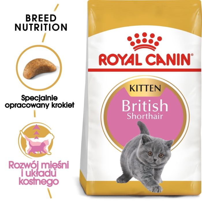 ROYAL CANIN British Shorthair Kitten 12x400 g karma sucha dla kociąt, do 12 miesiąca, rasy brytyjski krótkowłosy