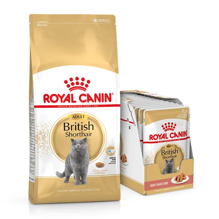 ROYAL CANIN British Shorthair karma sucha dla kotów dorosłych rasy brytyjski krótkowłosy 10kg + karma mokra 12x85g