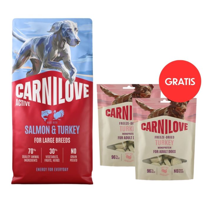 CARNILOVE Active Dog Salmon & Turkey Adult Large Breeds 12 kg łosoś i indyk dla psów dużych ras + CARNILOVE Dog Freeze Dried Turkey 2x60g GRATIS