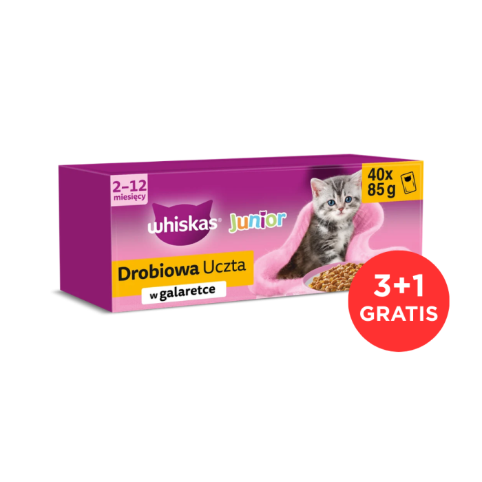 WHISKAS Junior Drobiowa Uczta 120x85g mokra karma z kurczakiem, kaczką, drobiem i indykiem w galaretce dla kociąt + 40 saszetek GRATIS