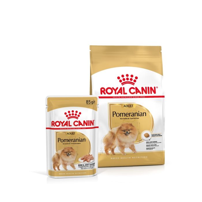 ROYAL CANIN Pomeranian Adult 1.5 kg karma sucha dla psów dorosłych rasy szpic miniaturowy + Pomeranian Adult 12x85g karma mokra