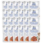 BRIT Care Sterilized Fillets in Jelly Duck&Turkey 24 x 85 g kaczka i indyk dla kotów po sterylizacji
