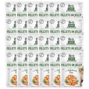BRIT Care Fillets in Jelly tuńczyk saszetki dla kota 24 x 85 g