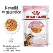 ROYAL CANIN Kitten Sterilised  w galaretce 12 x 85 g