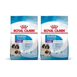 ROYAL CANIN Giant Starter Mother&Babydog 30 kg (2 x 15 kg) karma sucha dla suk w ciąży i laktacji oraz szczeniąt, od 4 do 8 tygodnia życia, ras olbrzymich