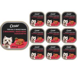 CESAR Teryna z Warzywami 10x300 g Wołowina i warzywa ogrodowe mokra karma dla psa